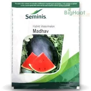 Madhav Watermelon 1