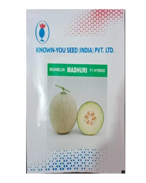 Madhuri Musk Melon Seeds 1