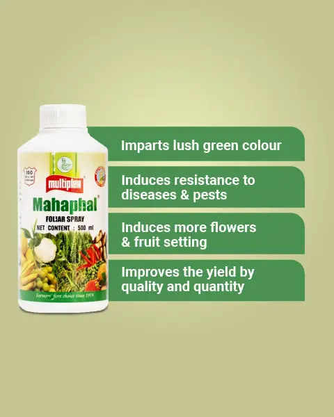 Multiplex Mahaphal Bio Stimulant - Boosts Yield Quality & Quantity 2