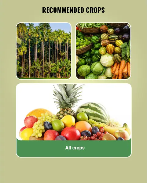 Multiplex Mahaphal Bio Stimulant - Boosts Yield Quality & Quantity 4