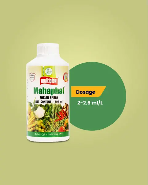 Multiplex Mahaphal Bio Stimulant - Boosts Yield Quality & Quantity 5