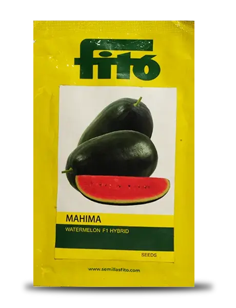 Mahima Watermelon Seeds - Oblong, Crisp Red Flesh, Sweet 1