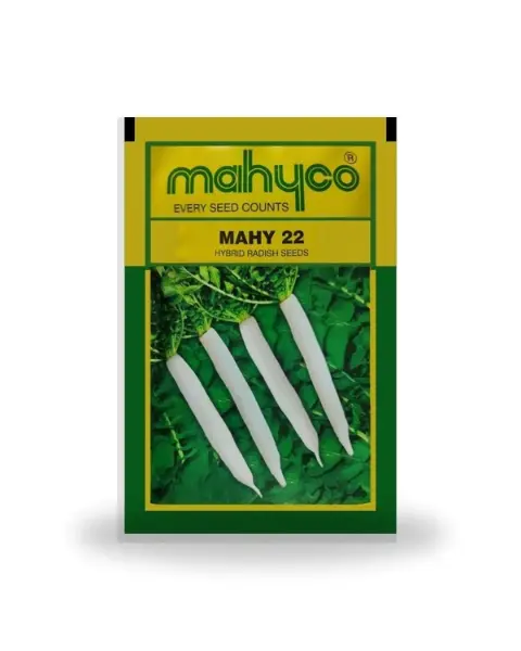 Mahy 22 Hybrid Radish Seeds 1