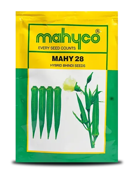 Mahy 28 Bhendi Seeds - Early Maturity, High Yield, Yvmv Tolerant Okra 1