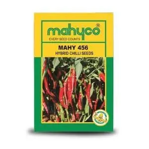 Mahy 456 Chilli 1
