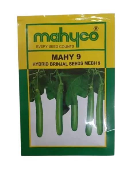 Mahy 9 Hybrid Brinjal Seeds. 1