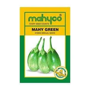 Mahy Green Brinjal 1
