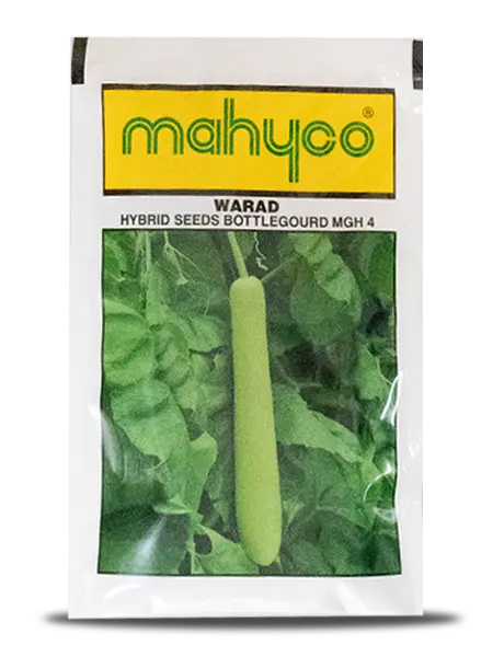 Mahy Mgh-4 Warad Bottlegourd Seeds – High Yield With Long Shelf Life 1
