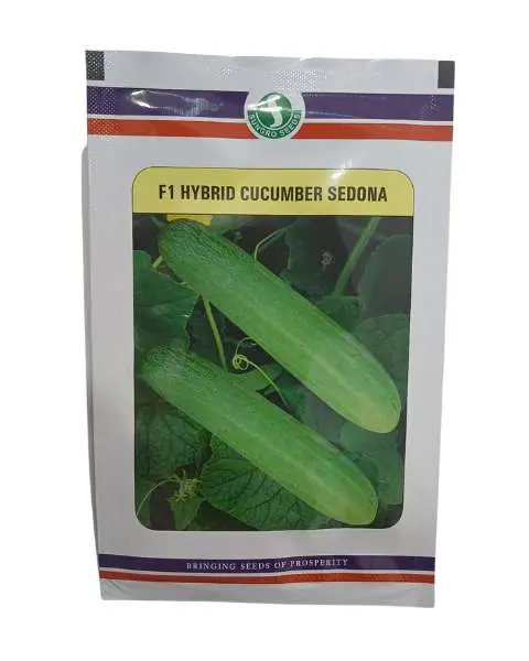 Sungro Sedona Cucumber Seeds 1