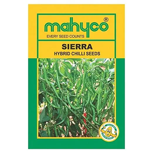Sierra Mhcp-317 Chilli Seeds 1