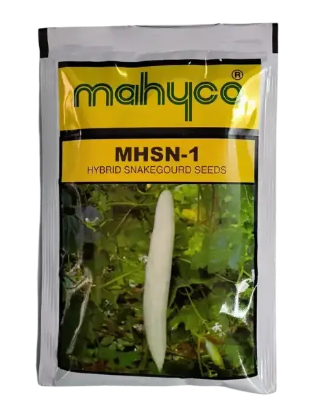Mahyco Mhsn 1F1 Hybrid Snake Gourd Seeds 1