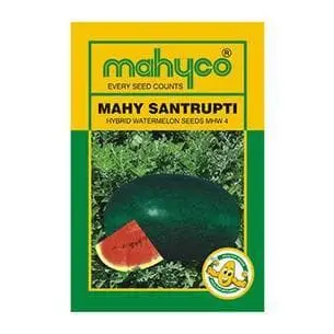 Mahy Santrupti Watermelon Seeds 1