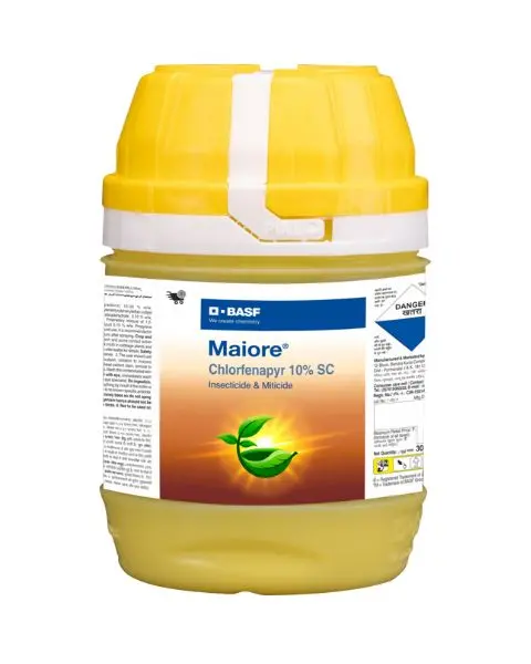 Maiore Insecticide 1