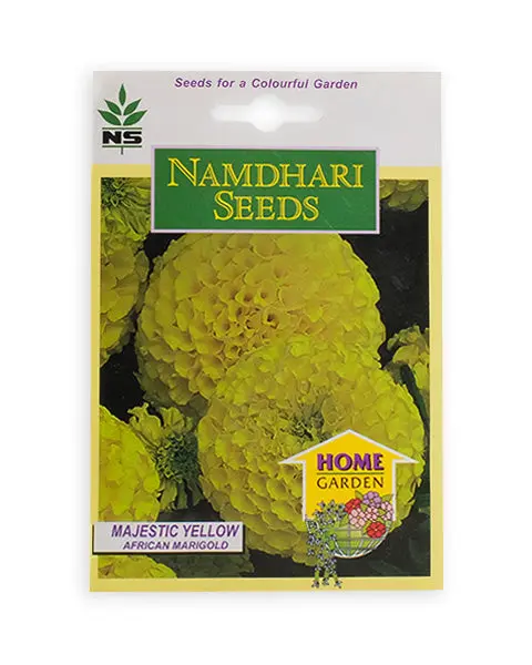 Majestic Yellow Marigold 1