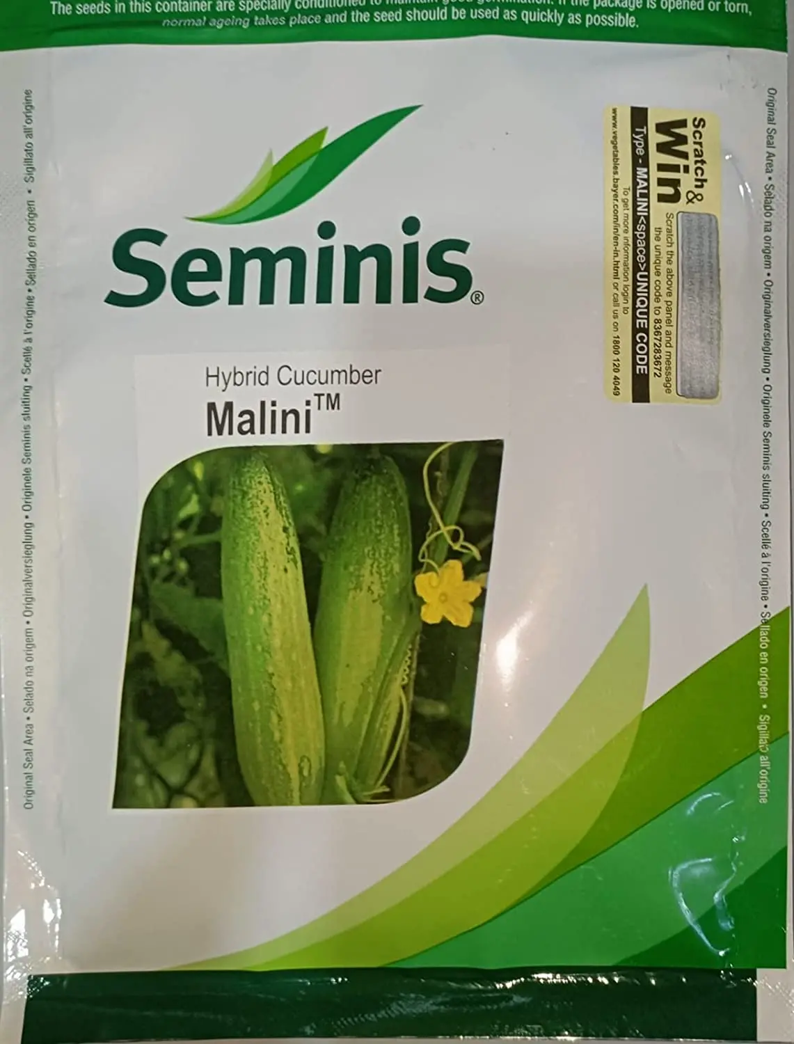 Malini Hybrid Cucumber Seeds By Seminis (Bayer) 1