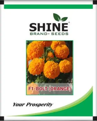 Marigold Bolt Orange F1 - Shine Brand Seeds, Genda 1