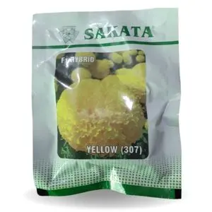 Sakata F1 Hybrid Yellow (307) Marigold Seeds 1