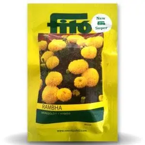 Rambha Marigold Seeds - Attractive Yellow Flowers, Disease Tolerant 1