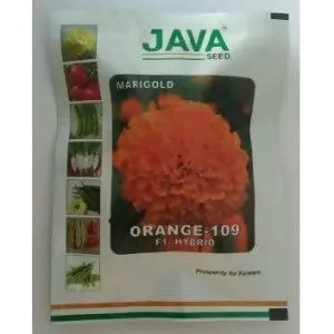Java Marigold Orange 109 F1 Hybrid Seeds 1