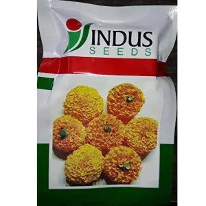 Indus Marigold Pushparaj Orange Seeds 1