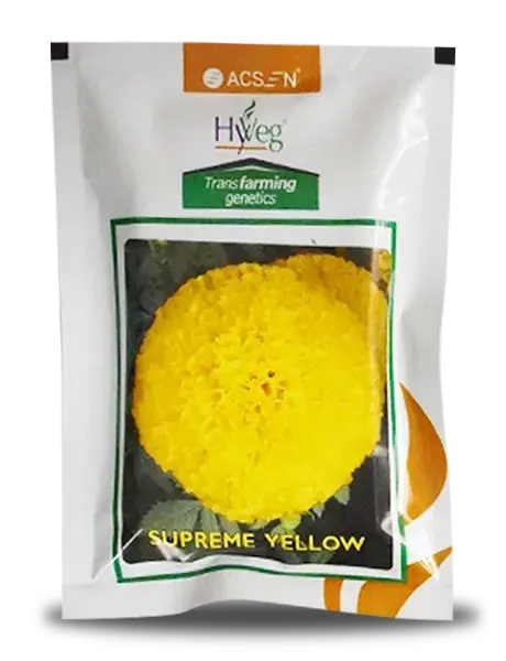 Supreme Yellow Marigold 1