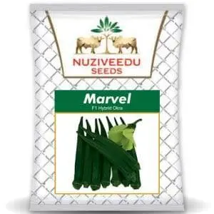 Marvel Bhendi (Okra) ( मार्वल भिंडी ) 1