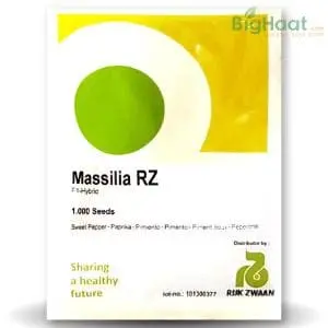 Massilia Rz F1 Red Capsicum 1