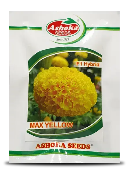 Max Yellow Marigold Seeds - Compact Plants, Early Flowering, Bright Yellow 1