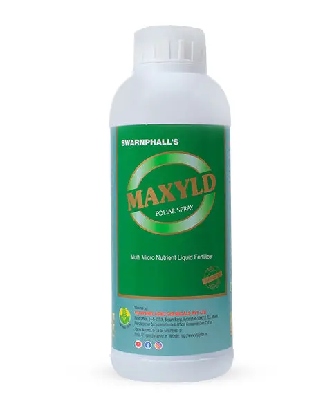 Maxlyd Plant Growth Regulator 1