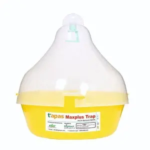 Maxplus Tapas Fruit Fly Trap – Long-Lasting, Multi-Crop Protection Against Fruit Flies 1