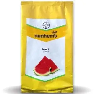 Maxx F1 Hybrid Watermelon Seeds 1