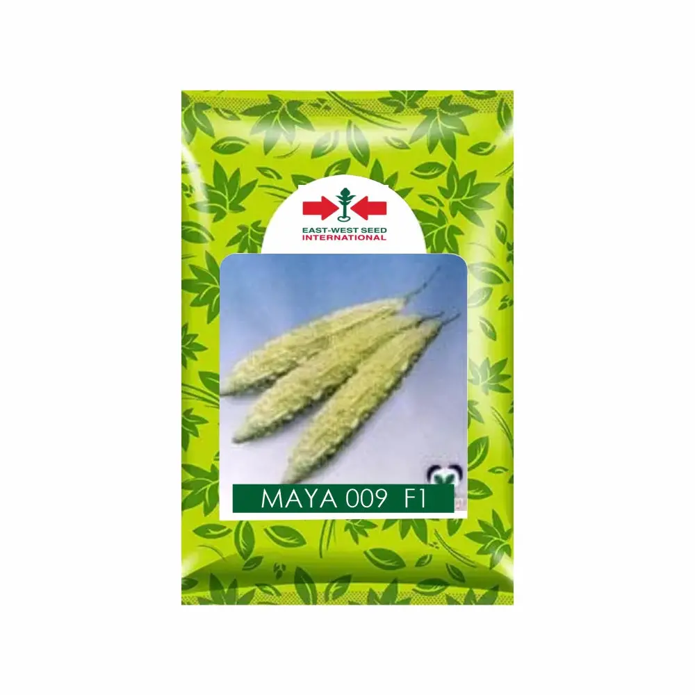 Maya 009 F1 Bittergourd Seeds - Rapid Growth, Healthy, White Spindle Fruits 1