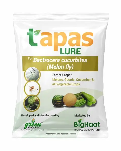 Fruit Fly Lure For Melons (Bactrocera Cucurbitae) Ipm Suitable | Tapas 1