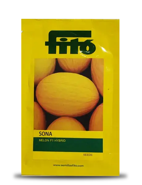 Sona Musk Melon 1