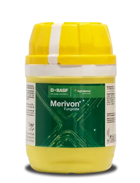 Merivon Fungicide By Basf - Fluxapyroxad 250 G/L + Pyraclostrobin 250 G/L Sc 1