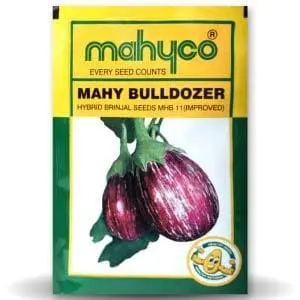 Mhb 11 Bulldozer Brinjal 1