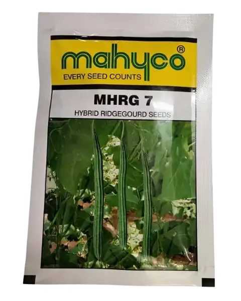Mhrg 7 Hybrid Ridge Gourd Seeds 1