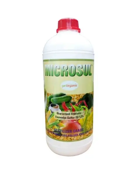 Gassin Pierre Microsul 1