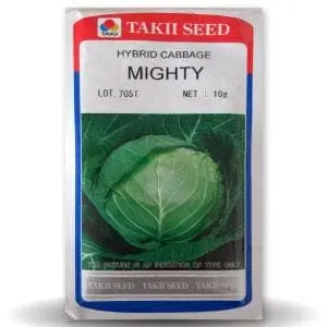 Mighty Cabbage F1 1