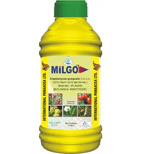 Milgo (Ampelomyces Quisqualis) Bio Fungicide – Controls Powdery Mildew In Multiple Crops 1