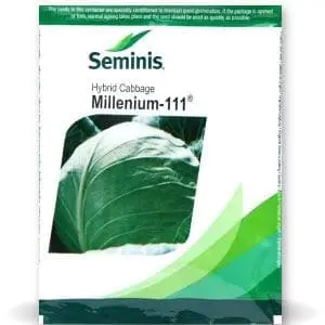 Millenium Iii Cabbage 1