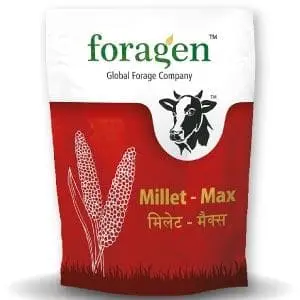 Millet Max (Millet Multi-Cut) 1