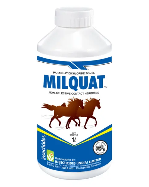 Milquat Herbicide (Paraquat Dichloride 24% Sl) – Controls Grassy, Broadleaf & Other Weeds 1