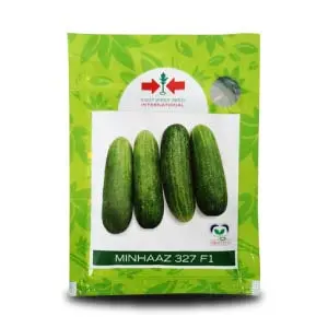 Minhaaz F1 Cucumber 1
