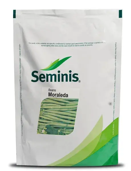 Seminis Moraleda Beans - Green Bean Seeds 1