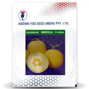 Mridula Muskmelon Seeds - Early Maturity, Round Fruit With Sweet Aroma 1