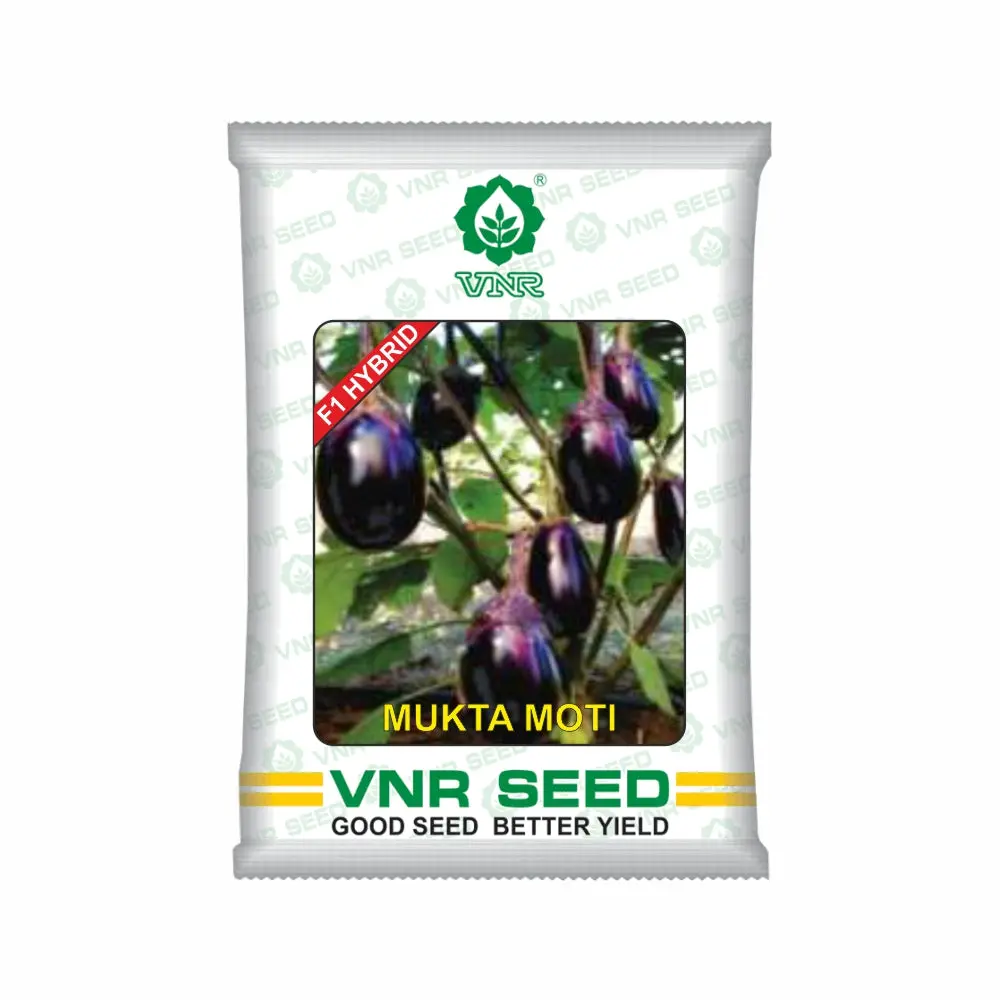 Mukta Moti F1 Hybrid Brinjal Seeds – Dark Purple, Oval & High-Yielding Variety 1