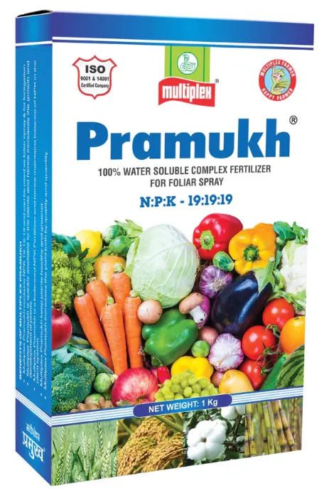 Multiplex Pramukh 19:19:19 – Water Soluble Npk Fertilizer For All Crops 1
