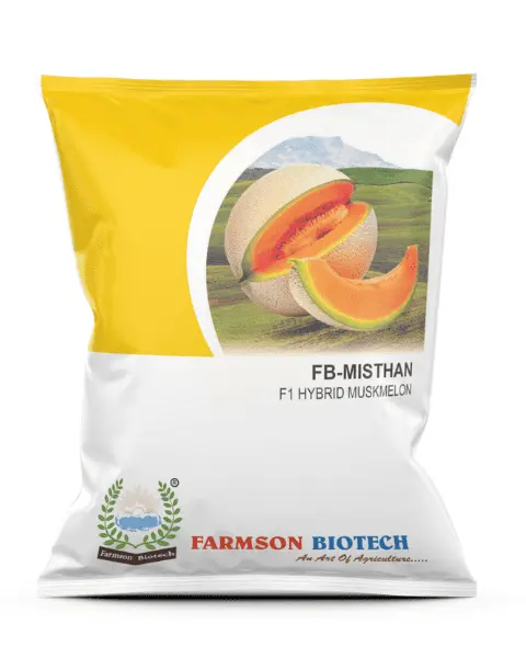 Fb Misthan F1 Hybrid Muskmelon Seeds, Good Tolerance Against Diseases & Virus 1