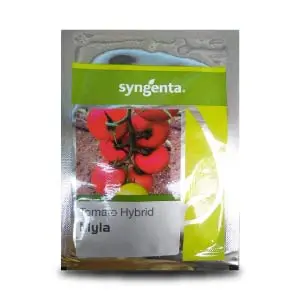 Myla Tomato Seeds 1